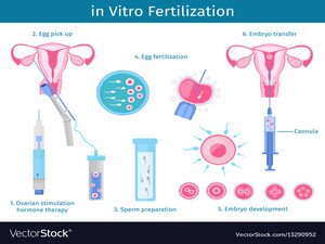 In-vitro Fertilization(IVF) KNOW MORE